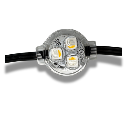 Halo Smart LED Lights